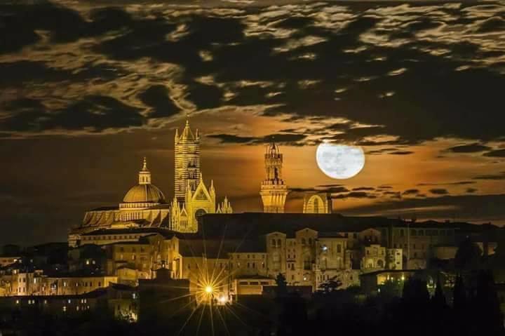 Agriturismo Colombino Siena Dış mekan fotoğraf