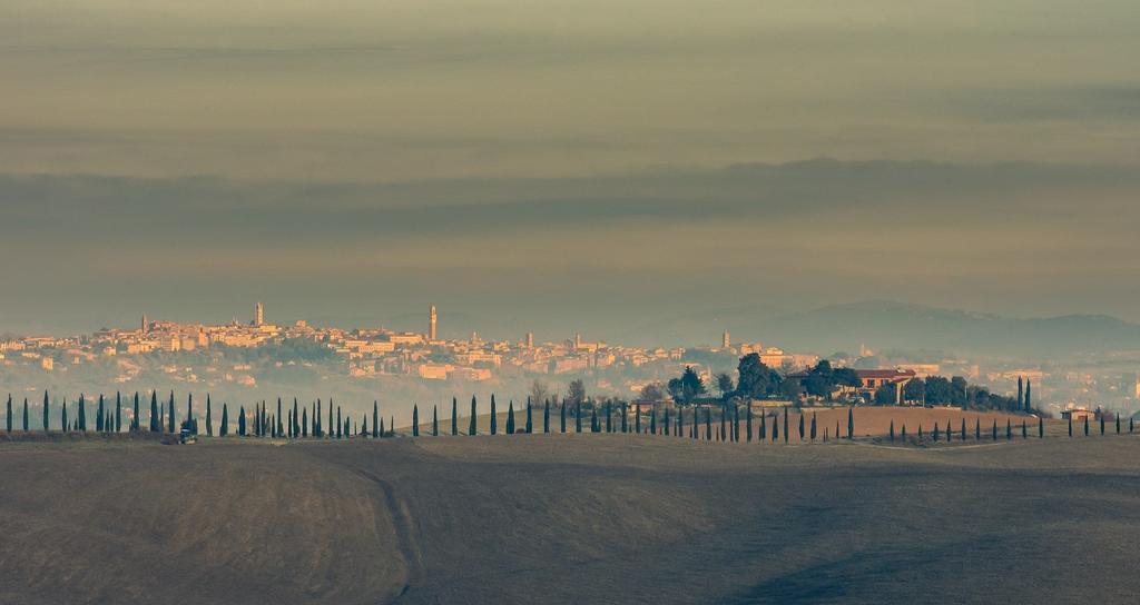 Agriturismo Colombino Siena Dış mekan fotoğraf