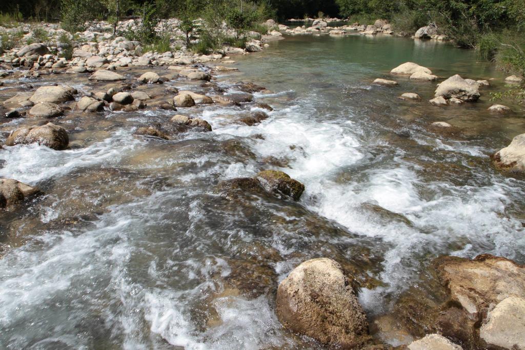 Agriturismo Colombino Siena Dış mekan fotoğraf